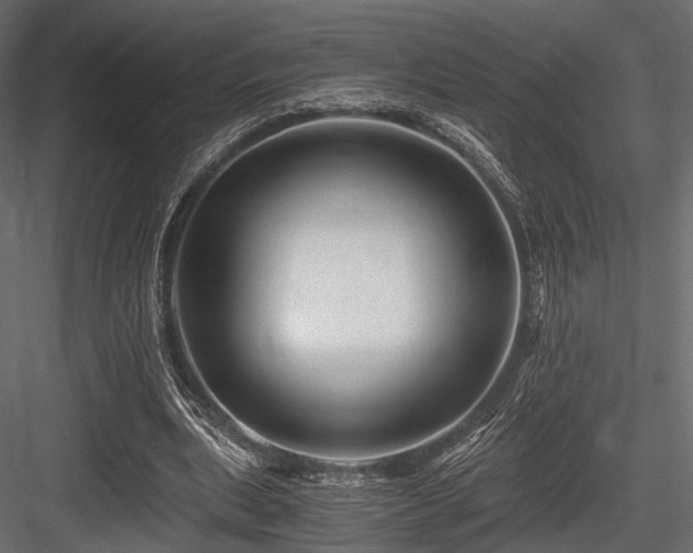 X0000084550439200702231209