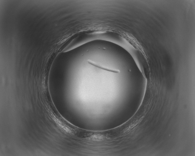 X0000084550441200702231209