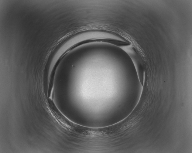 X0000084550442200702231209