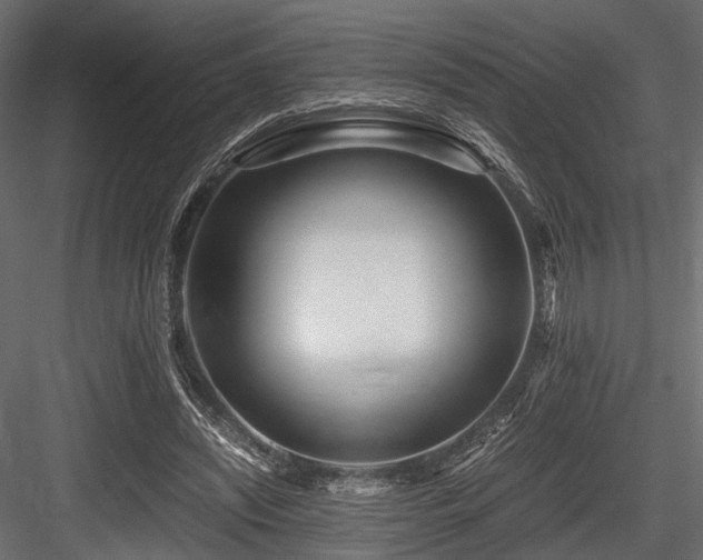 X0000084550444200702231209