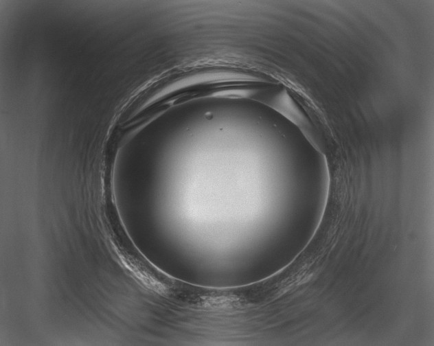 X0000084550446200702231209