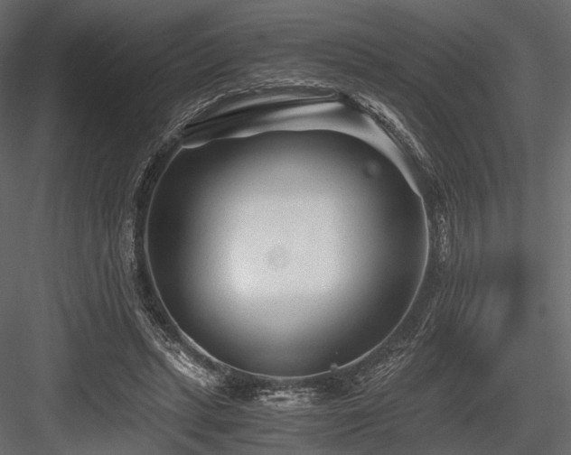X0000084550447200702231209