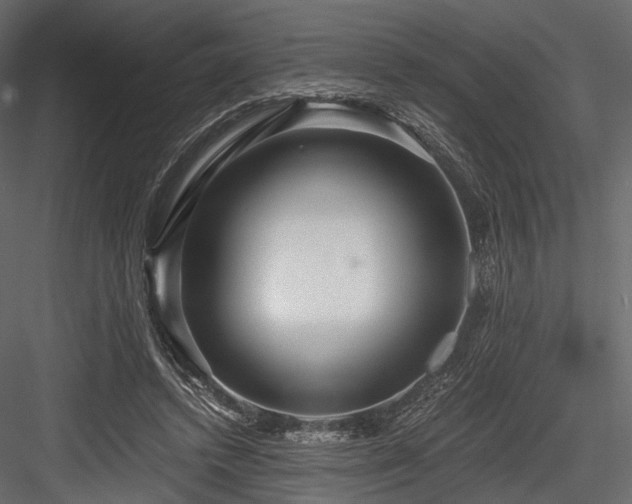 X0000084550448200702231210