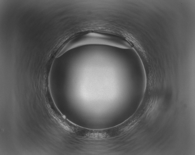 X0000084550449200702231210