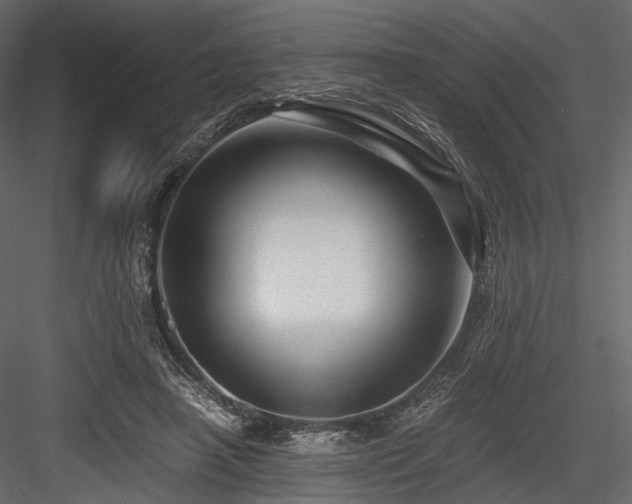 X0000084550450200702231210