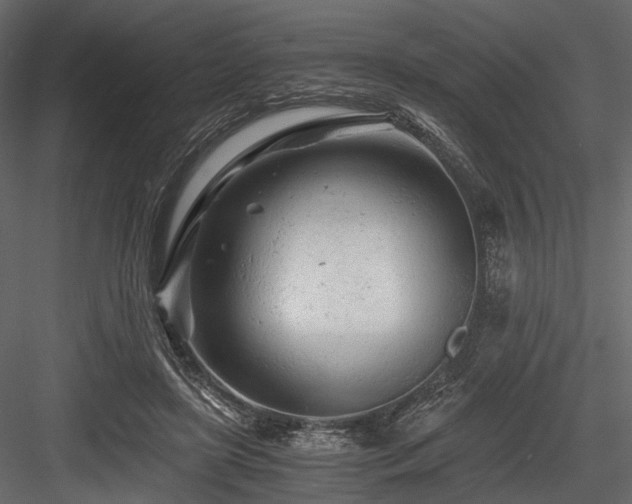 X0000084550451200702231210