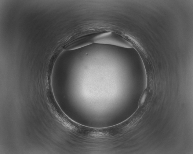 X0000084550453200702231210