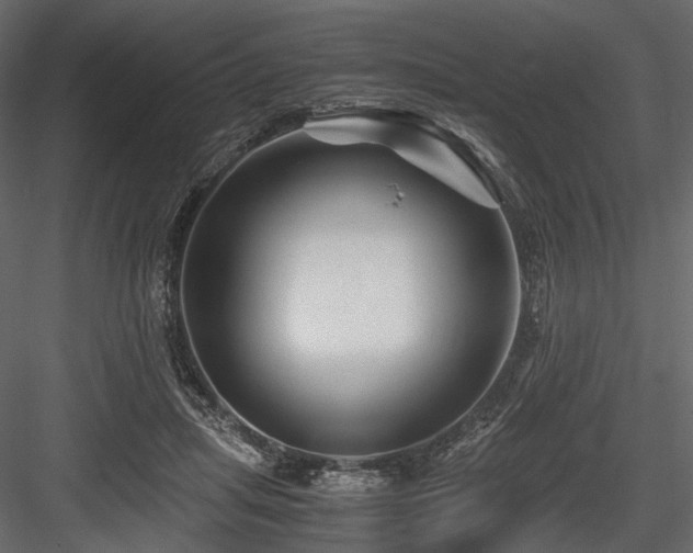 X0000084550455200702231210