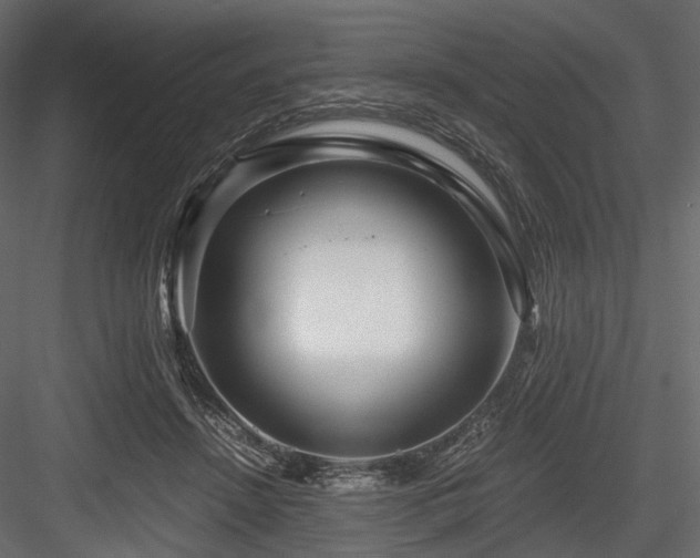 X0000084550456200702231210