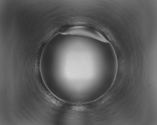 X0000084550457200702231210