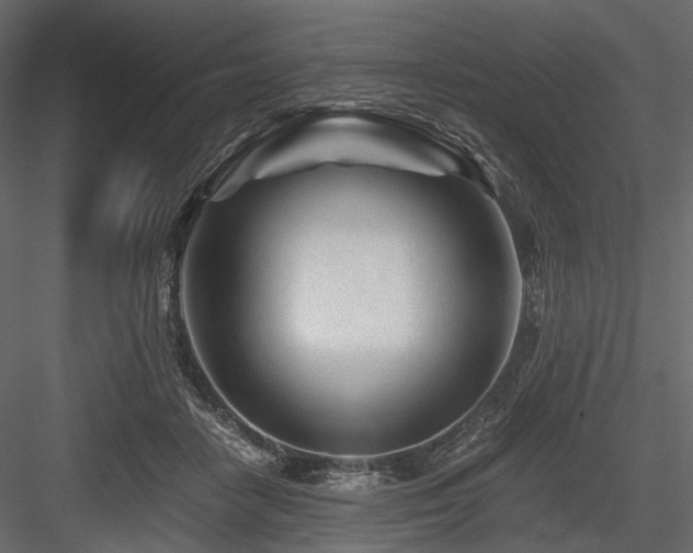 X0000084550458200702231210