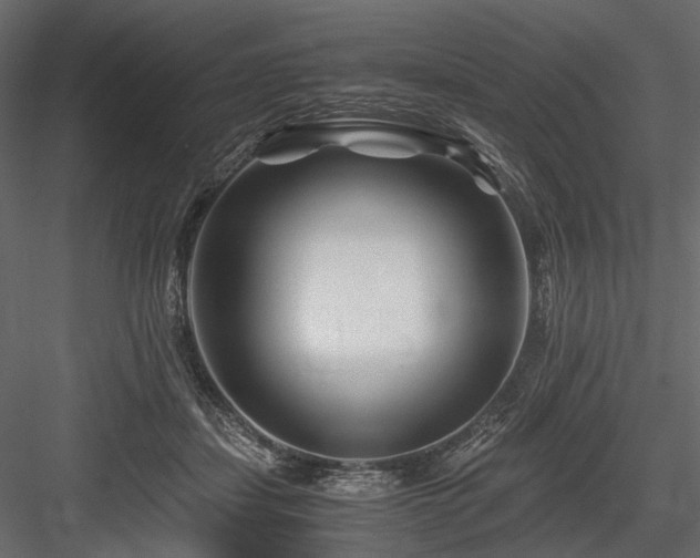 X0000084550459200702231210
