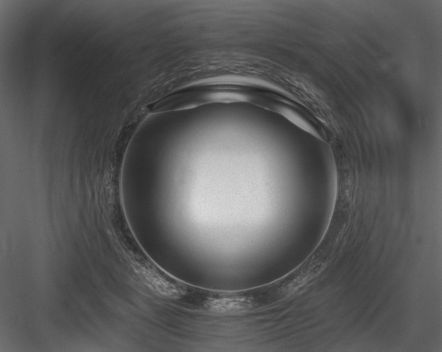 X0000084550461200702231210