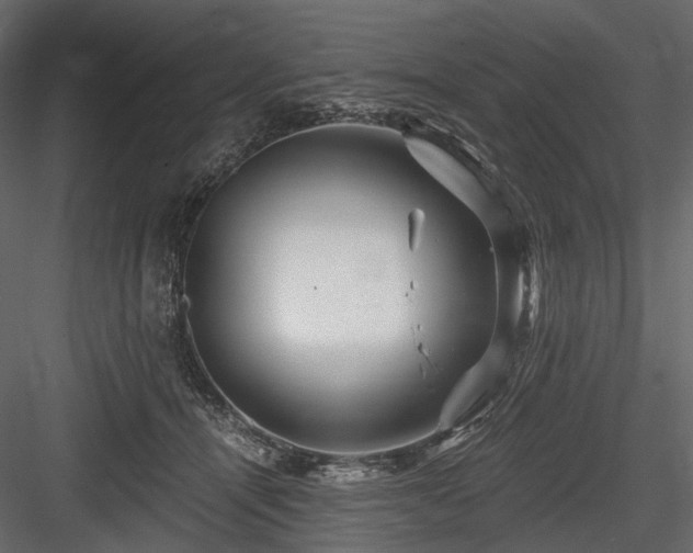 X0000084550464200702231210