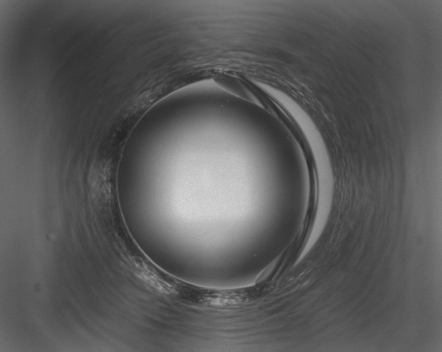 X0000084550466200702231210