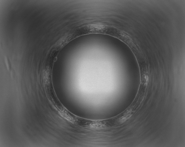 X0000084550468200702231210