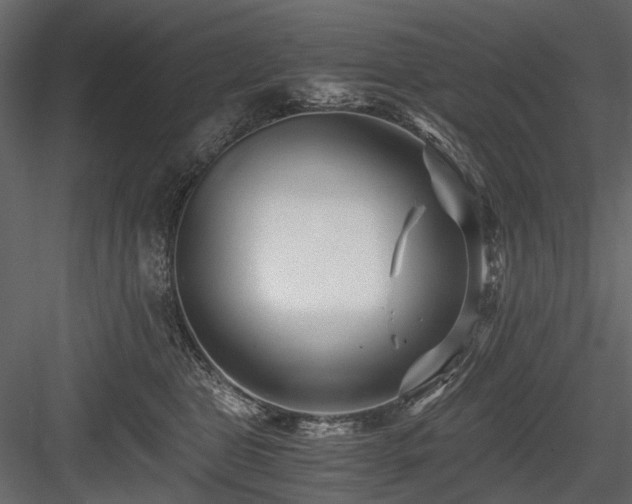 X0000084550469200702231210