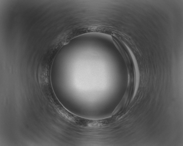 X0000084550470200702231210