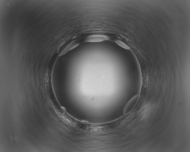 X0000084550472200702231210