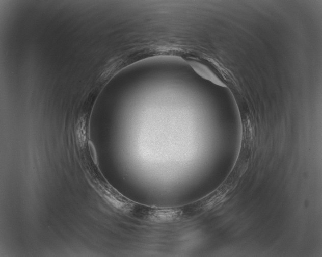 X0000084550479200702231210