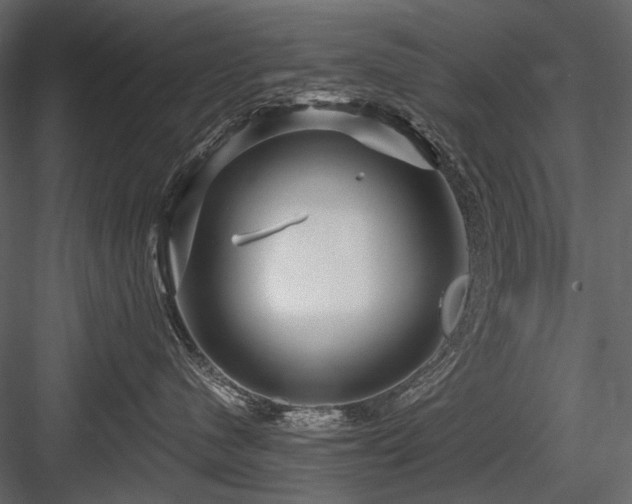 X0000084550480200702231210