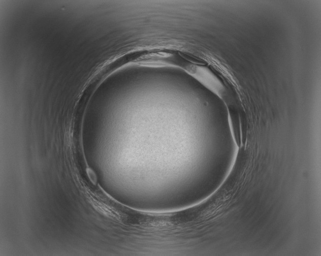 X0000084550483200702231209