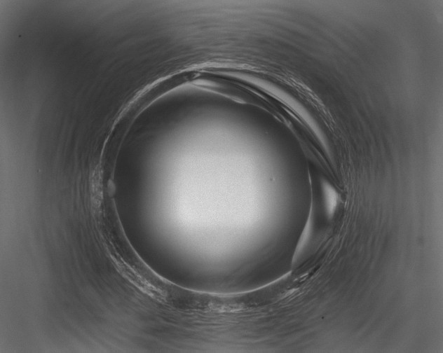 X0000084550484200702231209