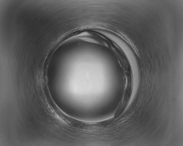 X0000084550485200702231209