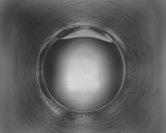 X0000084550486200702231209