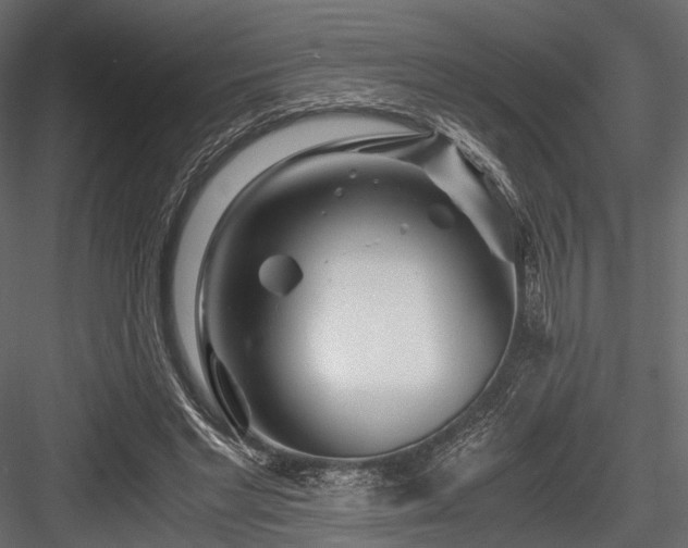 X0000084550493200702231209