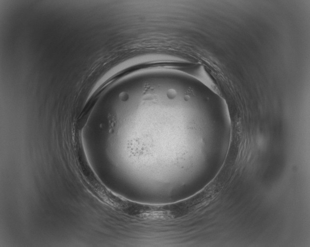 X0000084550499200702231209