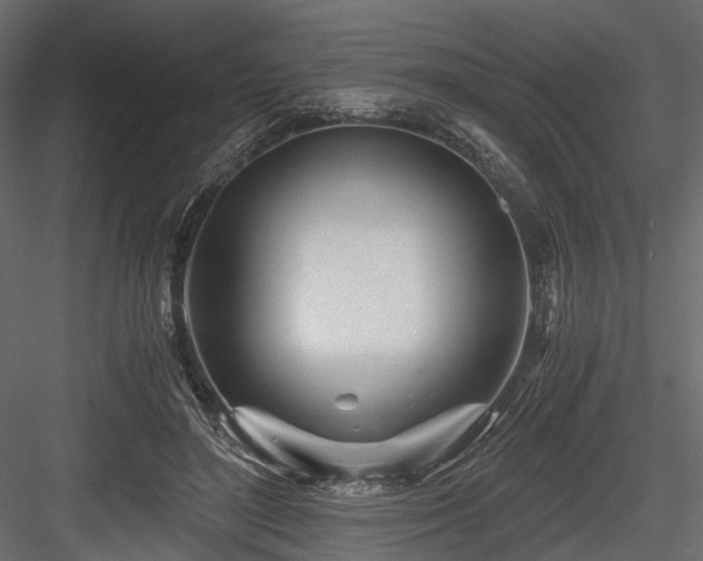 X0000084550500200702231209