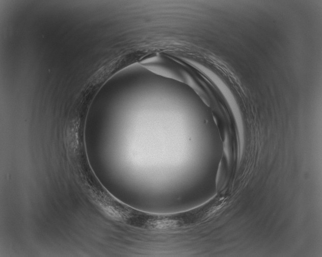 X0000084550501200702231209