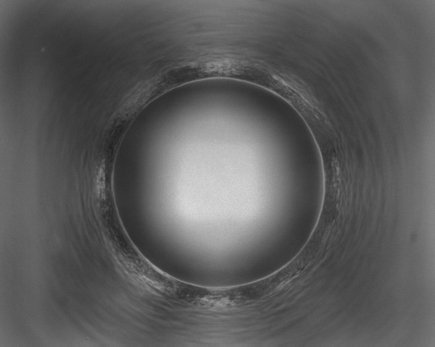 X0000084550502200702231209