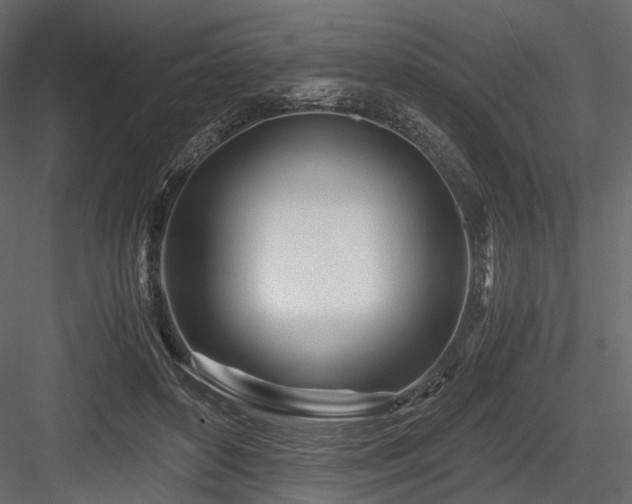 X0000084550504200702231209