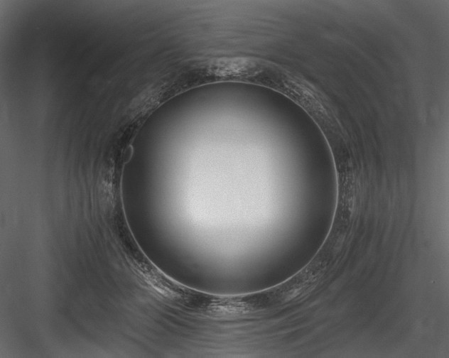 X0000084550510200702231209