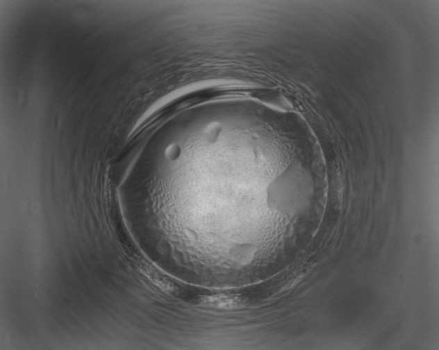 X0000084550511200702231209