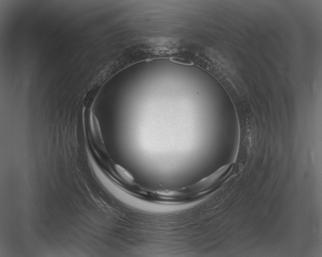 X0000084550512200702231209