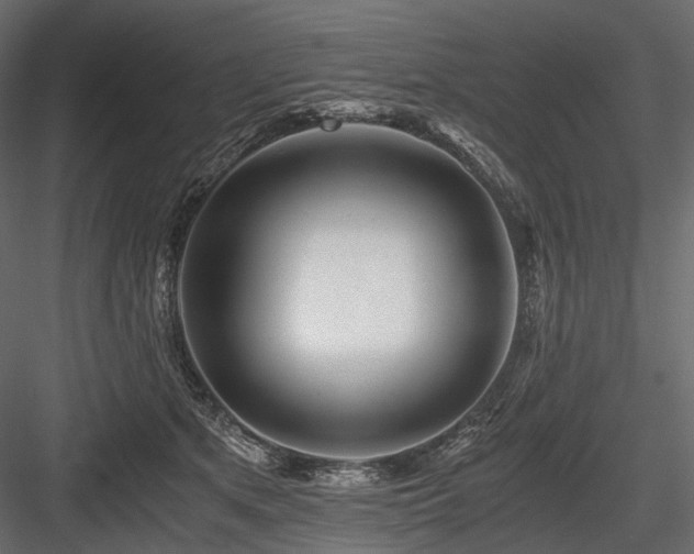 X0000084550513200702231209
