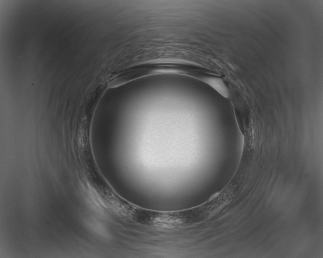 X0000084550515200702231209