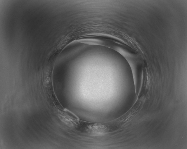 X0000084550517200702231209