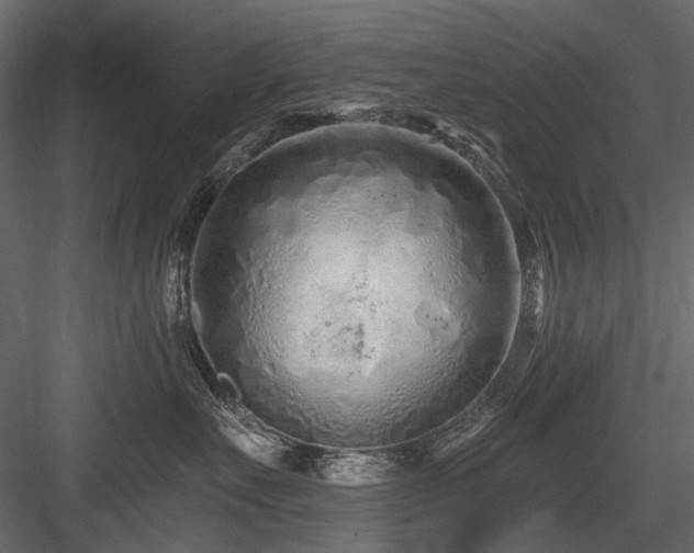 X0000084550527200702231208