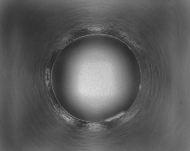 X0000084550528200702231208