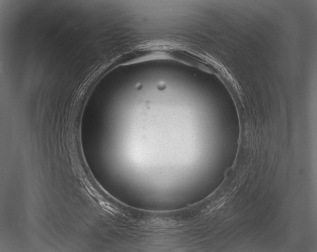 X0000084550529200702231208