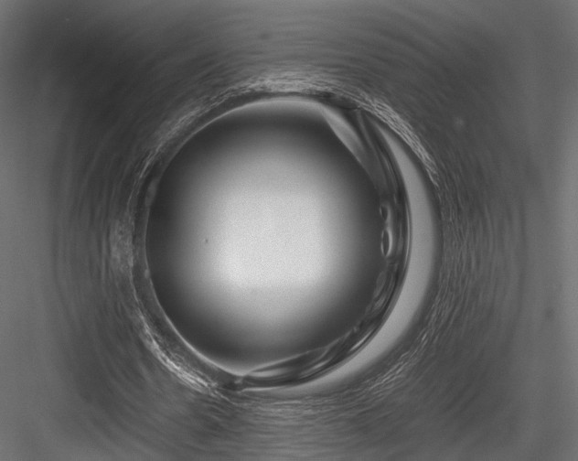 X0000084550530200702231208