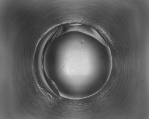X0000084550532200702231208