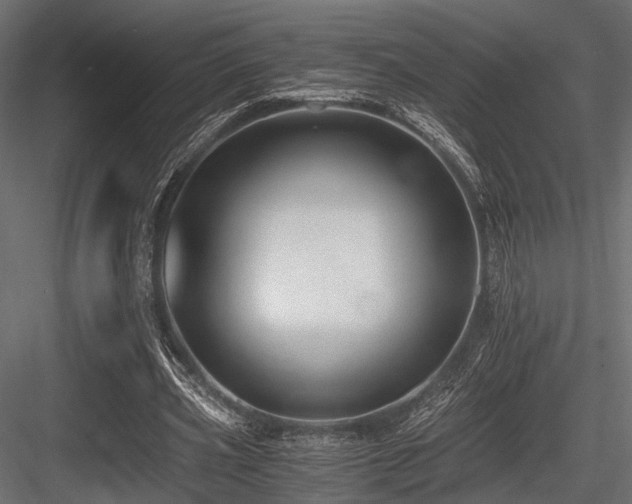 X0000084550533200702231208