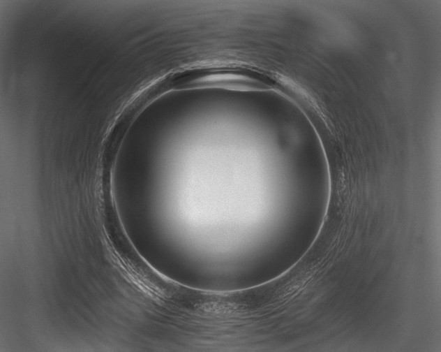 X0000084550535200702231208