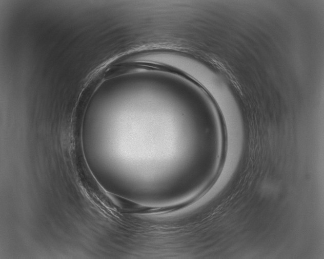 X0000084550536200702231208