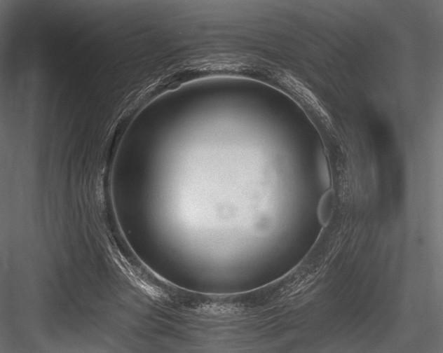 X0000084550537200702231208